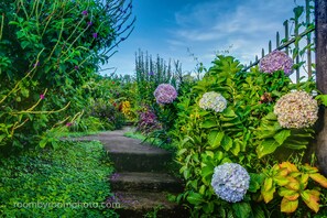 Un chemin de jardin avec des marches menant à une clôture en bois.