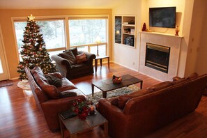 Smart TV, fireplace, video games, DVD player