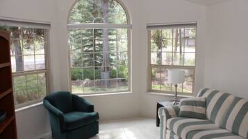 Smart TV, fireplace, video games, DVD player