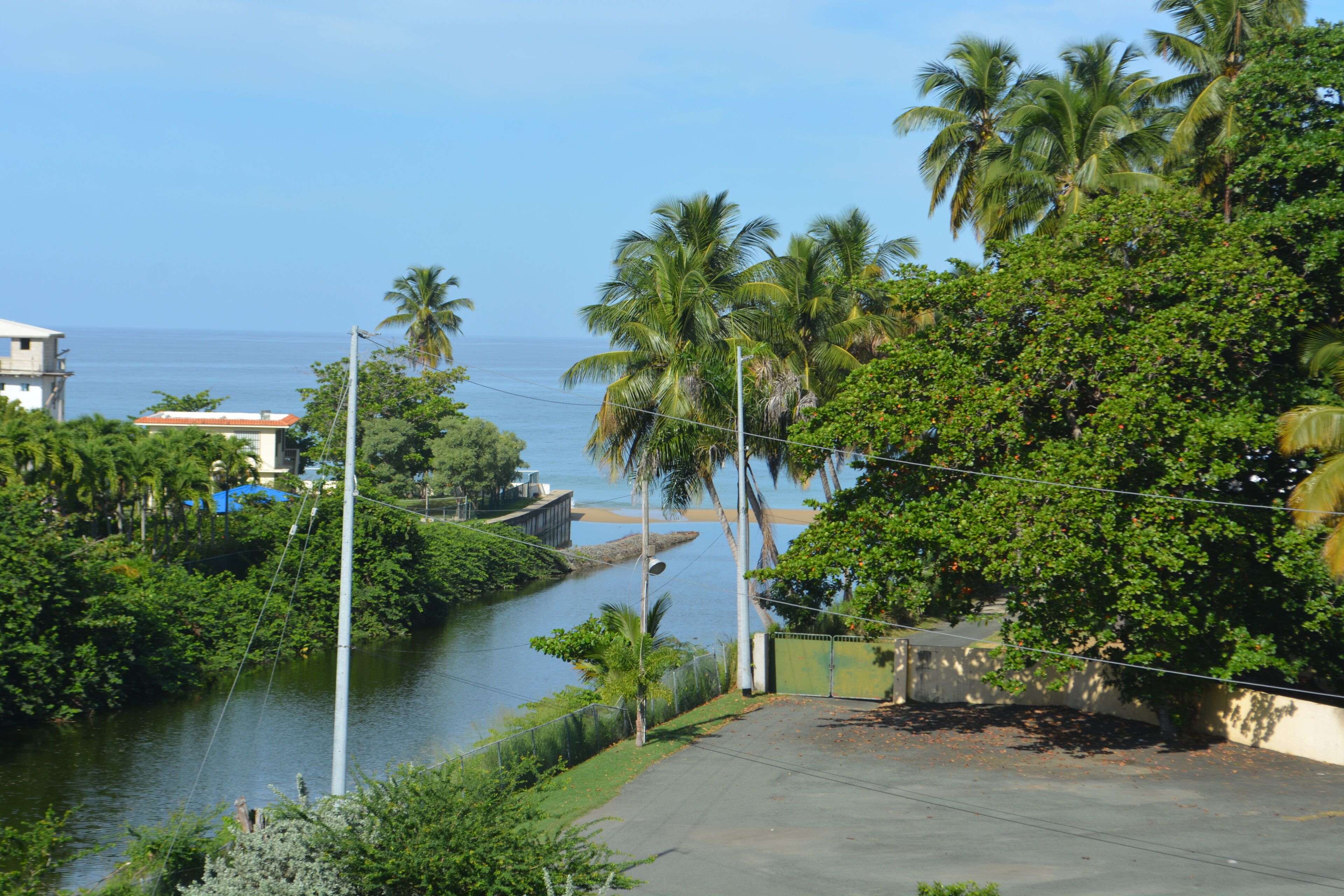 Zona costera con un río, palmeras y vistas al océano.