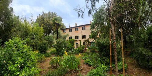 The Palms Apartment