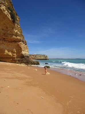 Beach nearby, sun-loungers