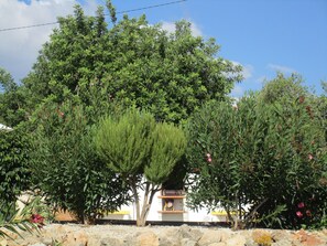 Property grounds - Oasis of tranquility - Villa with secure pool and large garden (Alcantarilha)