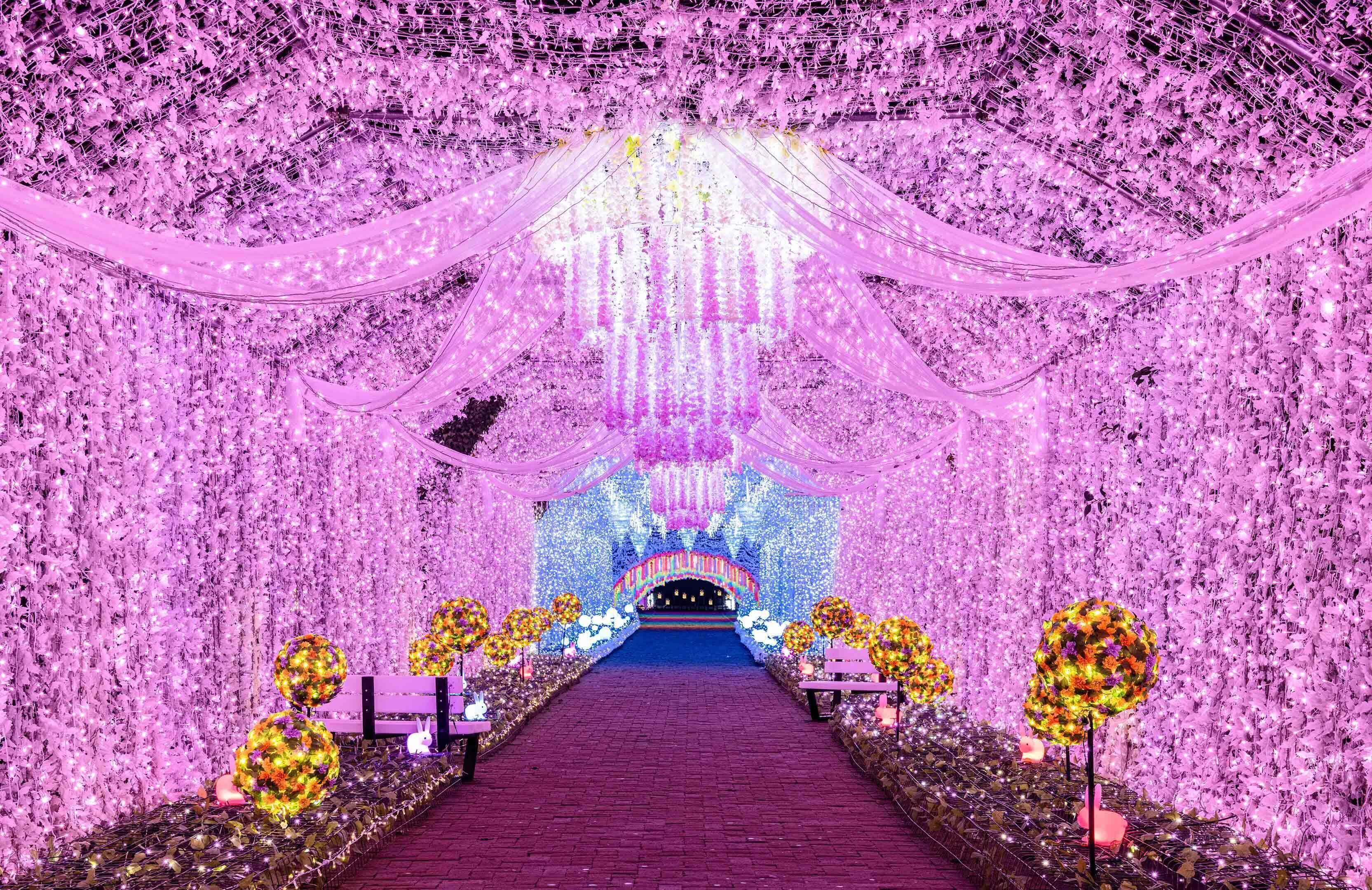 Vue depuis l’hébergement