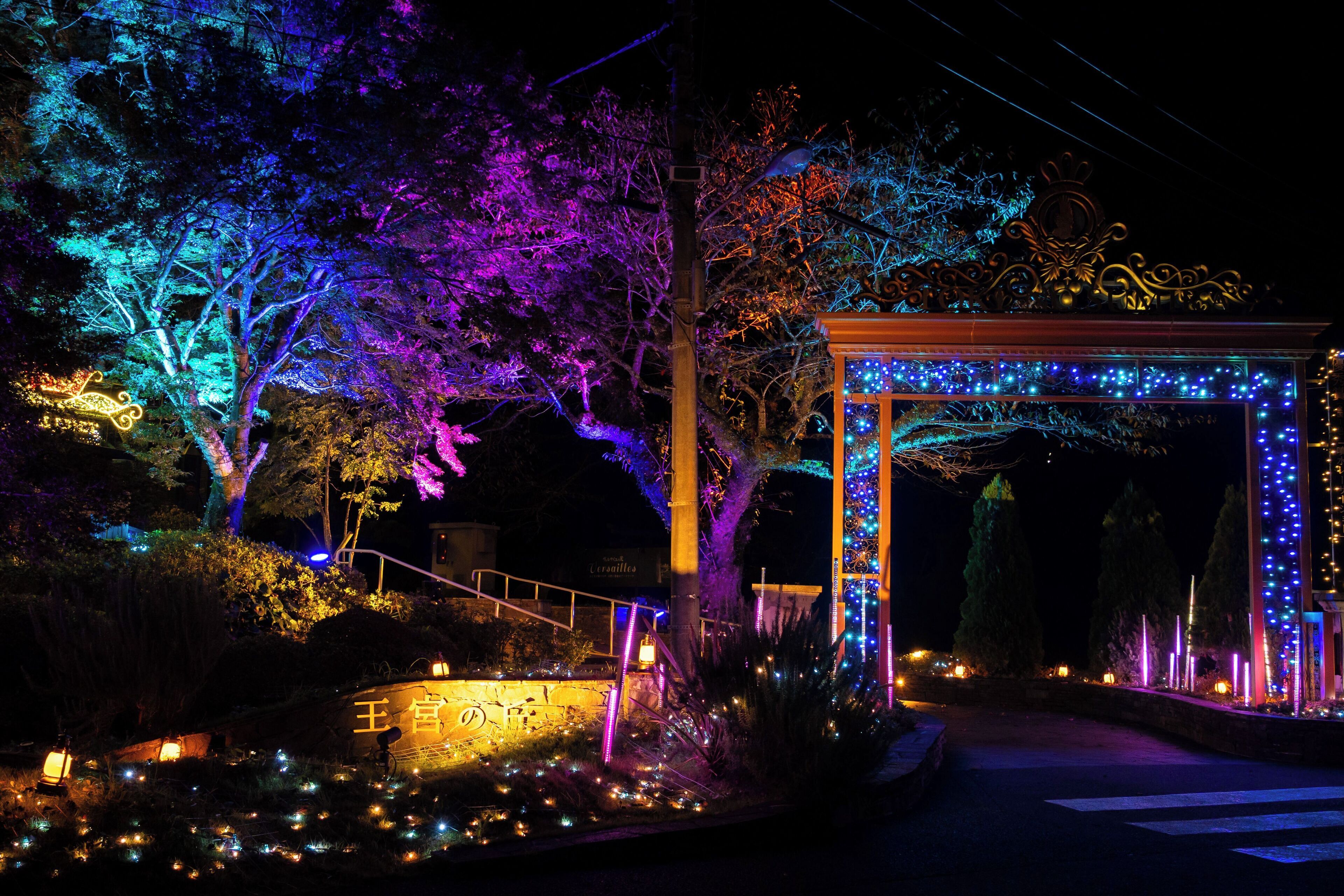 A nighttime garden with illuminated trees and a gazebo.