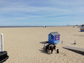 Miscellaneous - Arona Guest (Great Yarmouth)