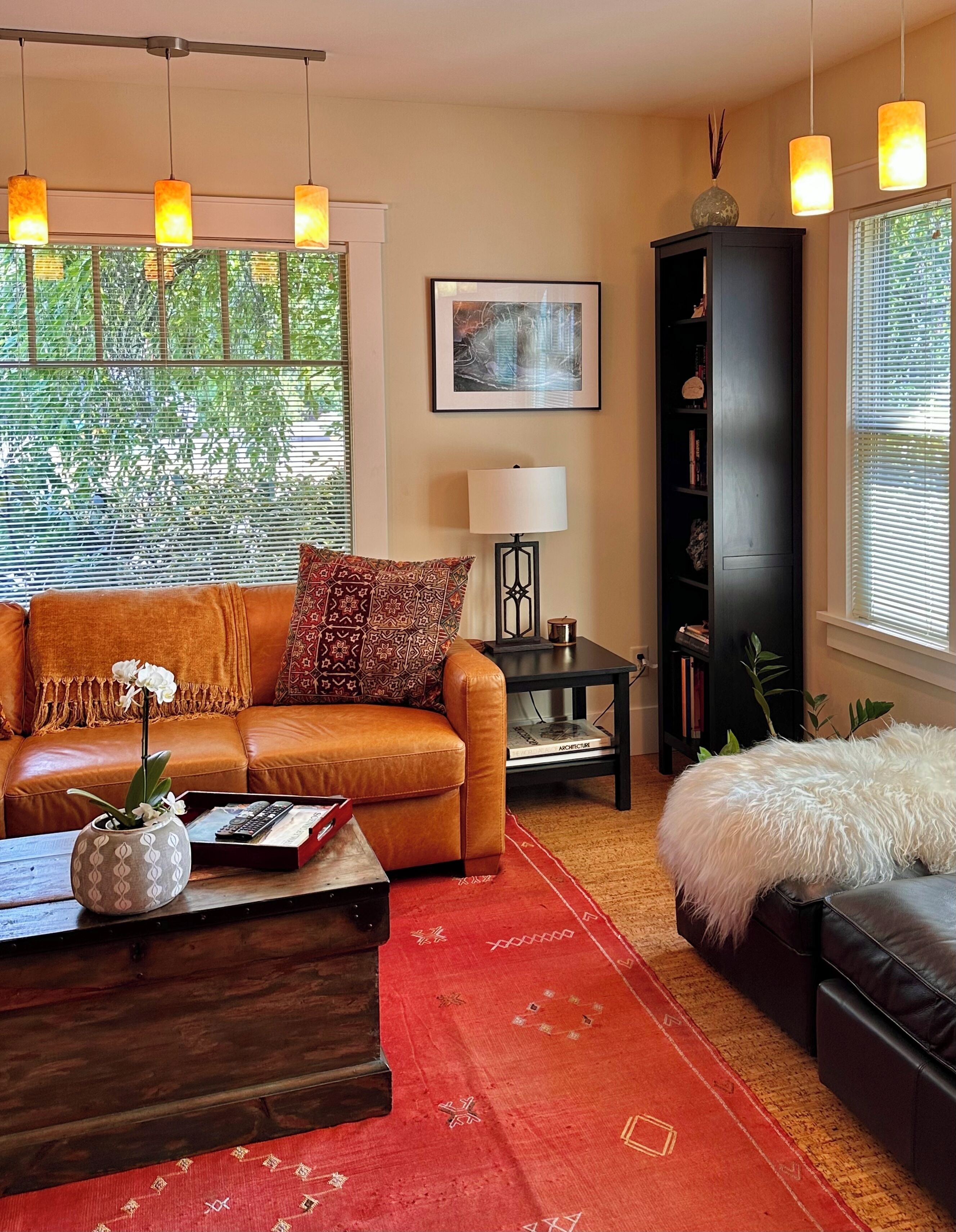 Smart TV, DVD player, books, video library