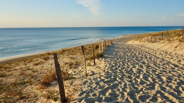 A sandy beach with a wooden fence running parallel to the shore. - 4* Gallery Villa in Moliets, 15 p, heated pool, ensuite rooms/ close 2 beach (Moliets-Et-Maa)