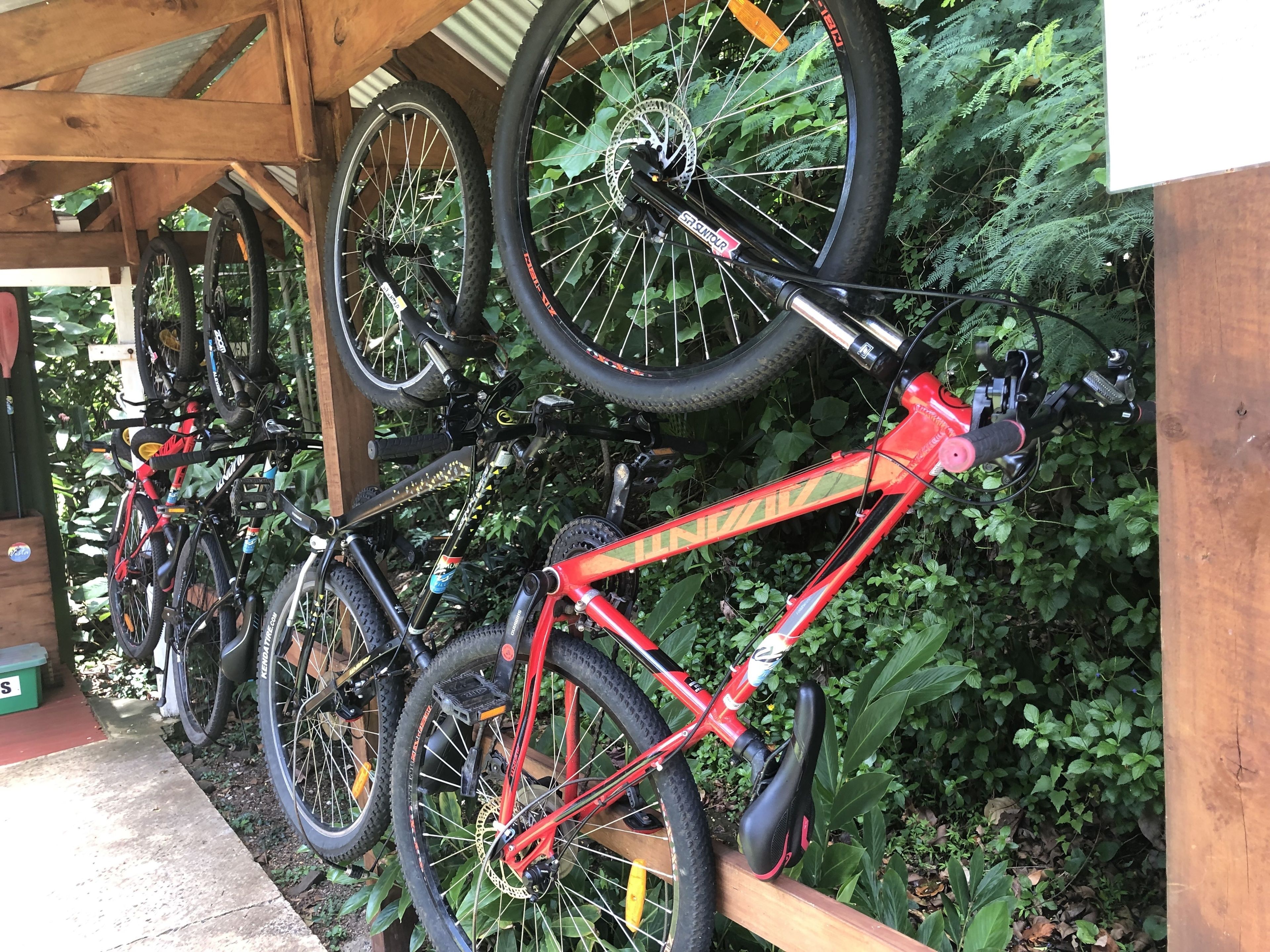 A wooden structure with bicycles mounted on racks.