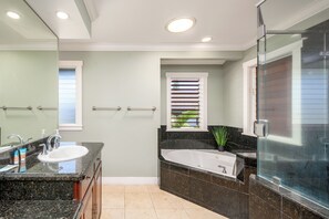Shower, jetted tub, hair dryer, towels