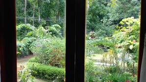A view through a window with a wooden frame, revealing a lush garden with various plants and flowers. - Yalegoda Walauwa Homestay (Udunuwara)