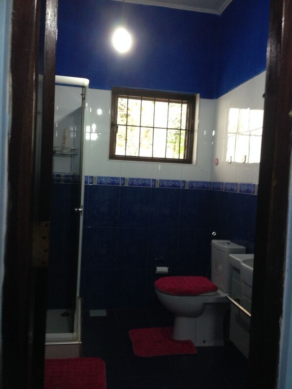 A bathroom with blue tiles, a white toilet, a red bath mat, and a window with a view of greenery.
