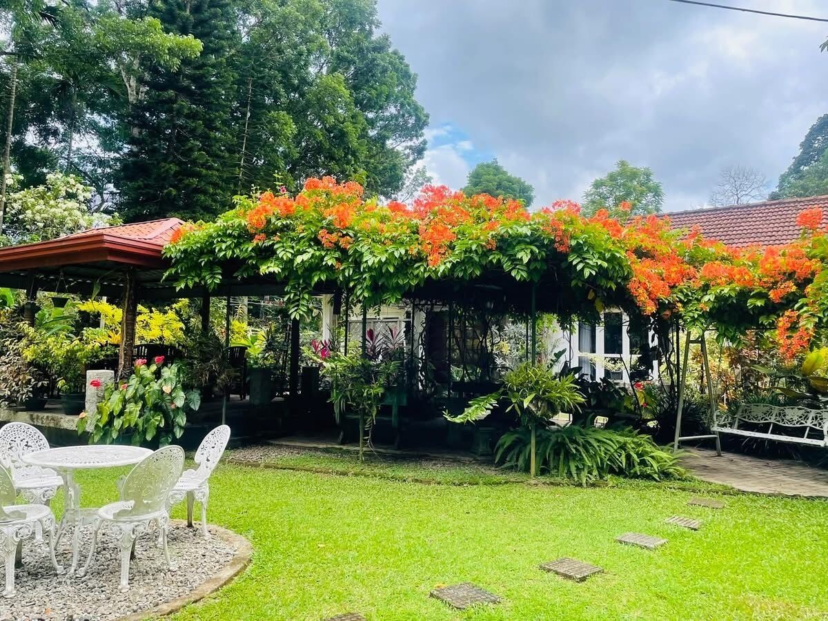 高级木屋, 吸烟房, 花园景观 | 花园景观