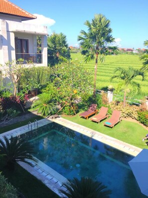 Outdoor pool - Canggu Bona Kubu (Canggu)