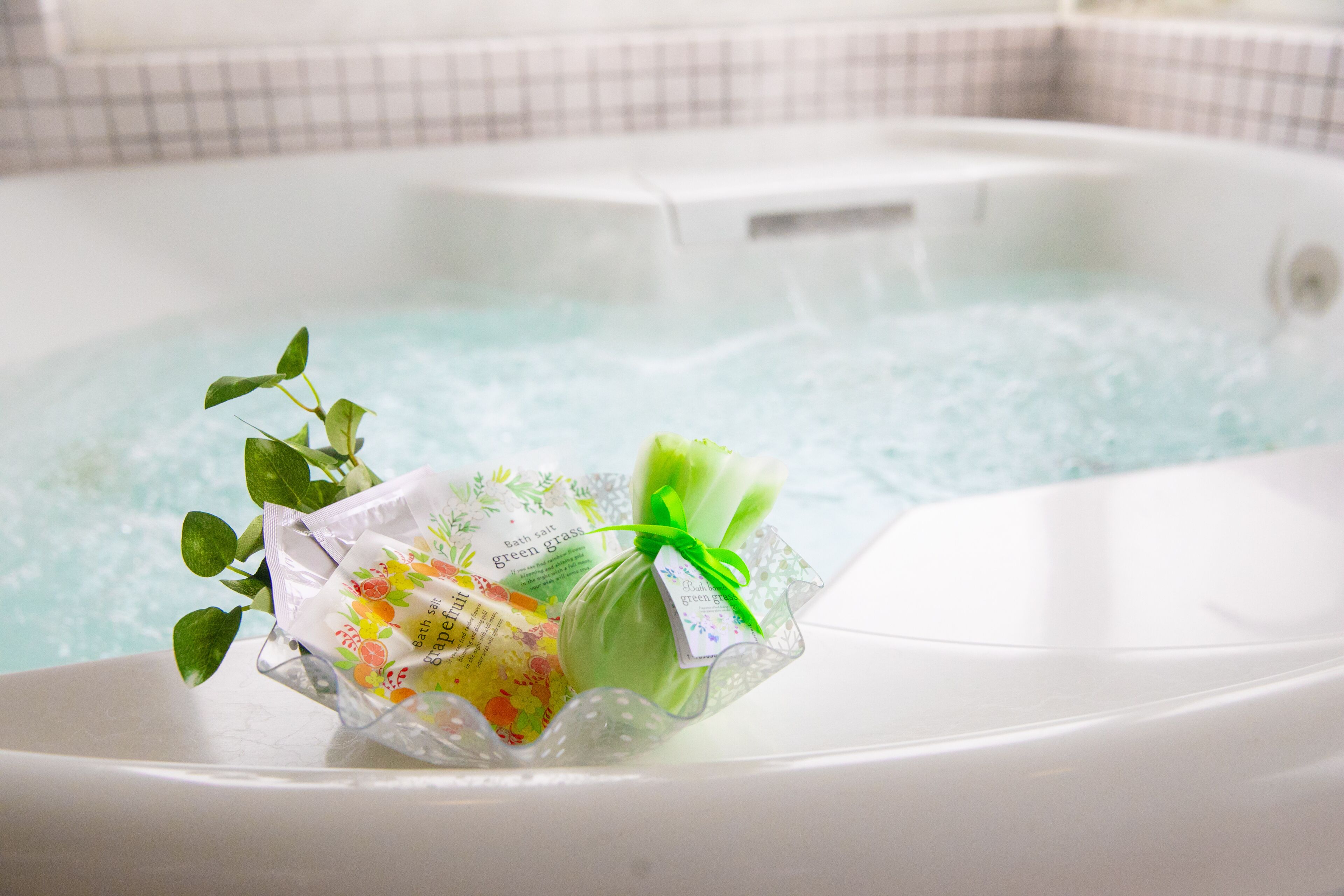 premium suite with external bathroom, non smoking | jetted bathtub