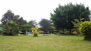 Oklassificerad bild, 4 av 29, knapp