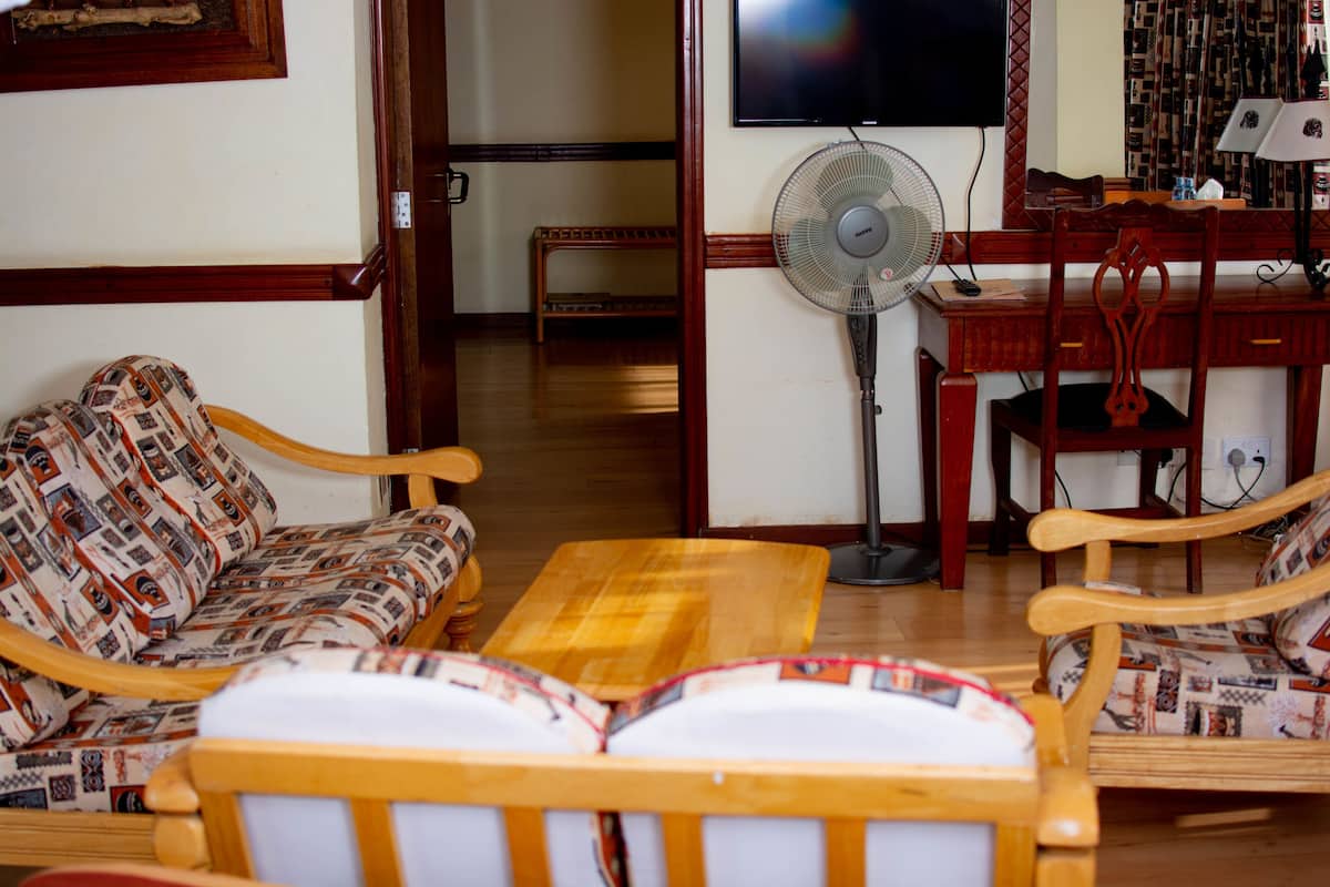 21-inch flat-screen TV with satellite channels, TV