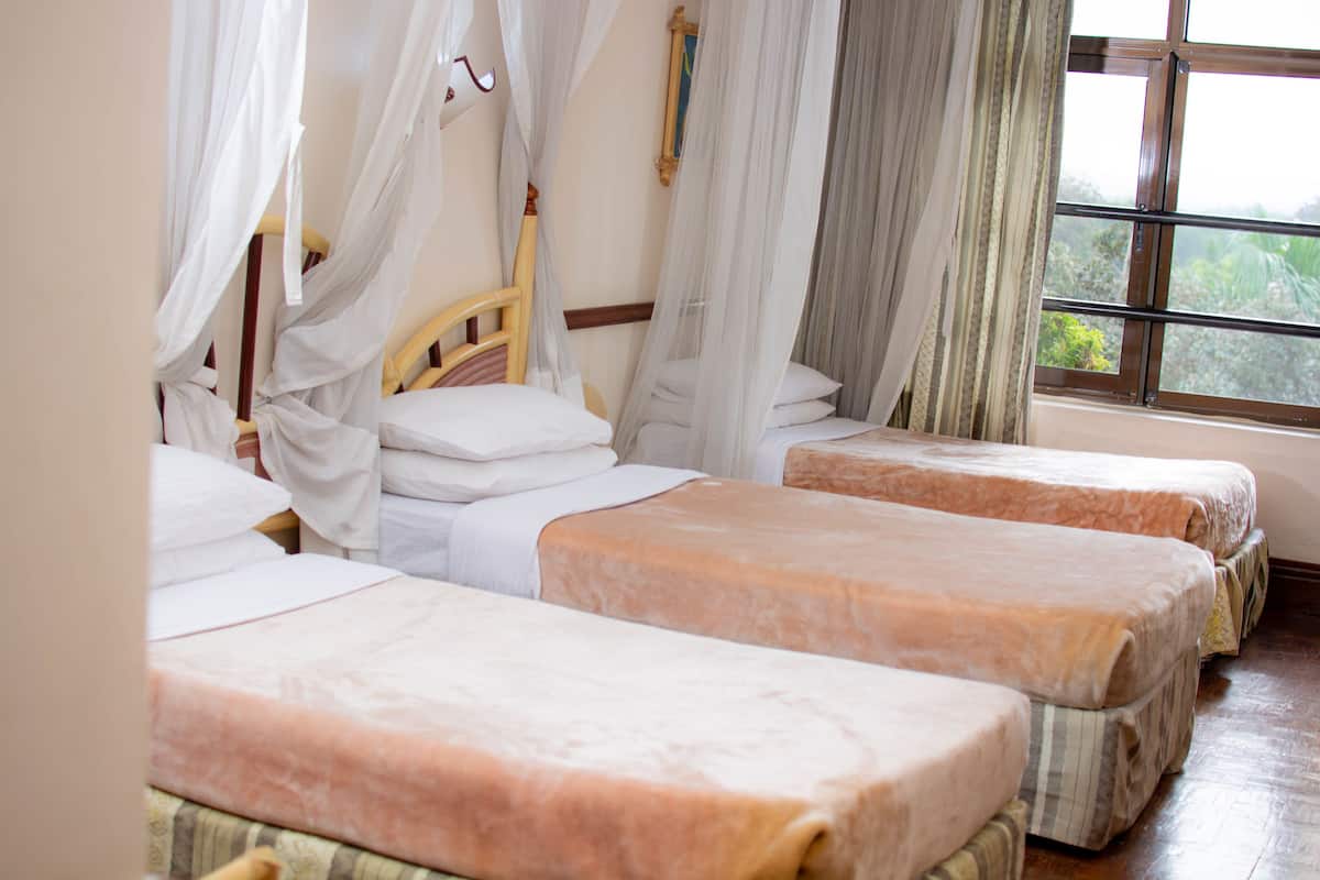 Standard Triple Room | Premium bedding, minibar, in-room safe, desk