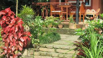 Deluxe Room | Terrace/patio