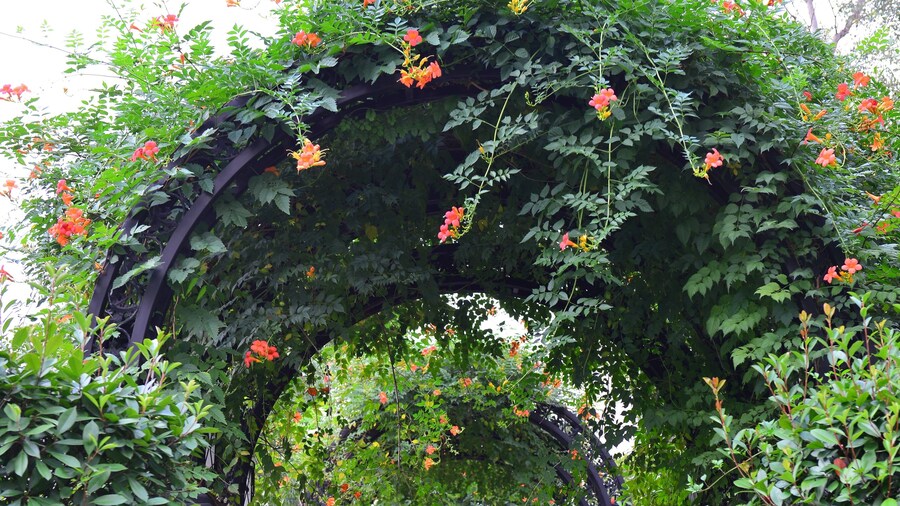 Urban Island Hotel Shanghai