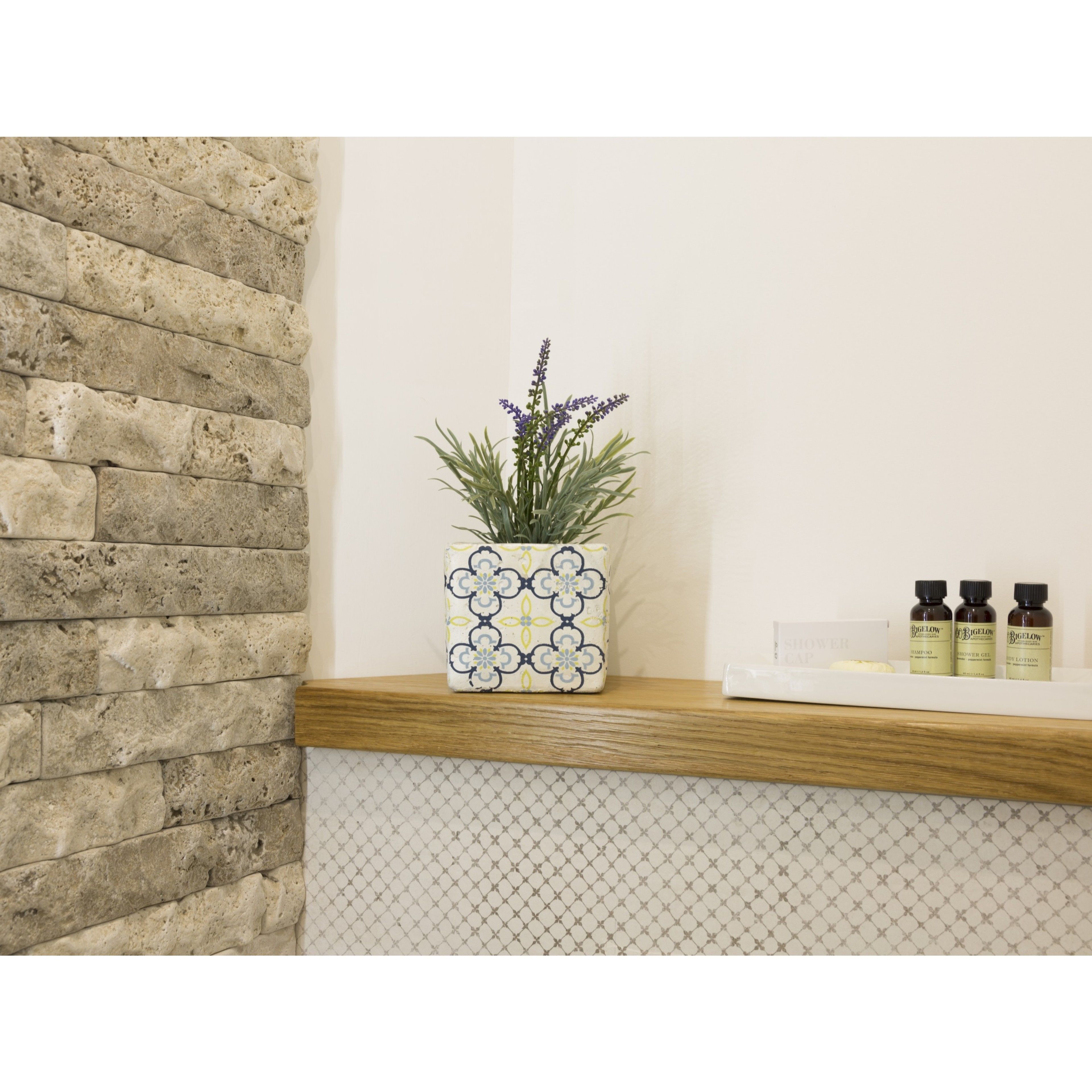 A bathroom with a stone wall, a potted plant, and toiletries on a shelf.
