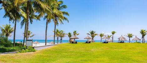 A beachside resort with palm trees, beach umbrellas, and a clear view of the ocean.