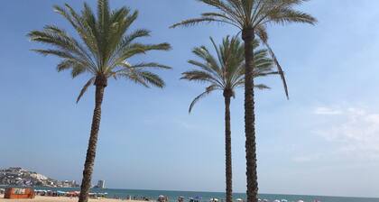 Hotel Moon Dreams Cullera