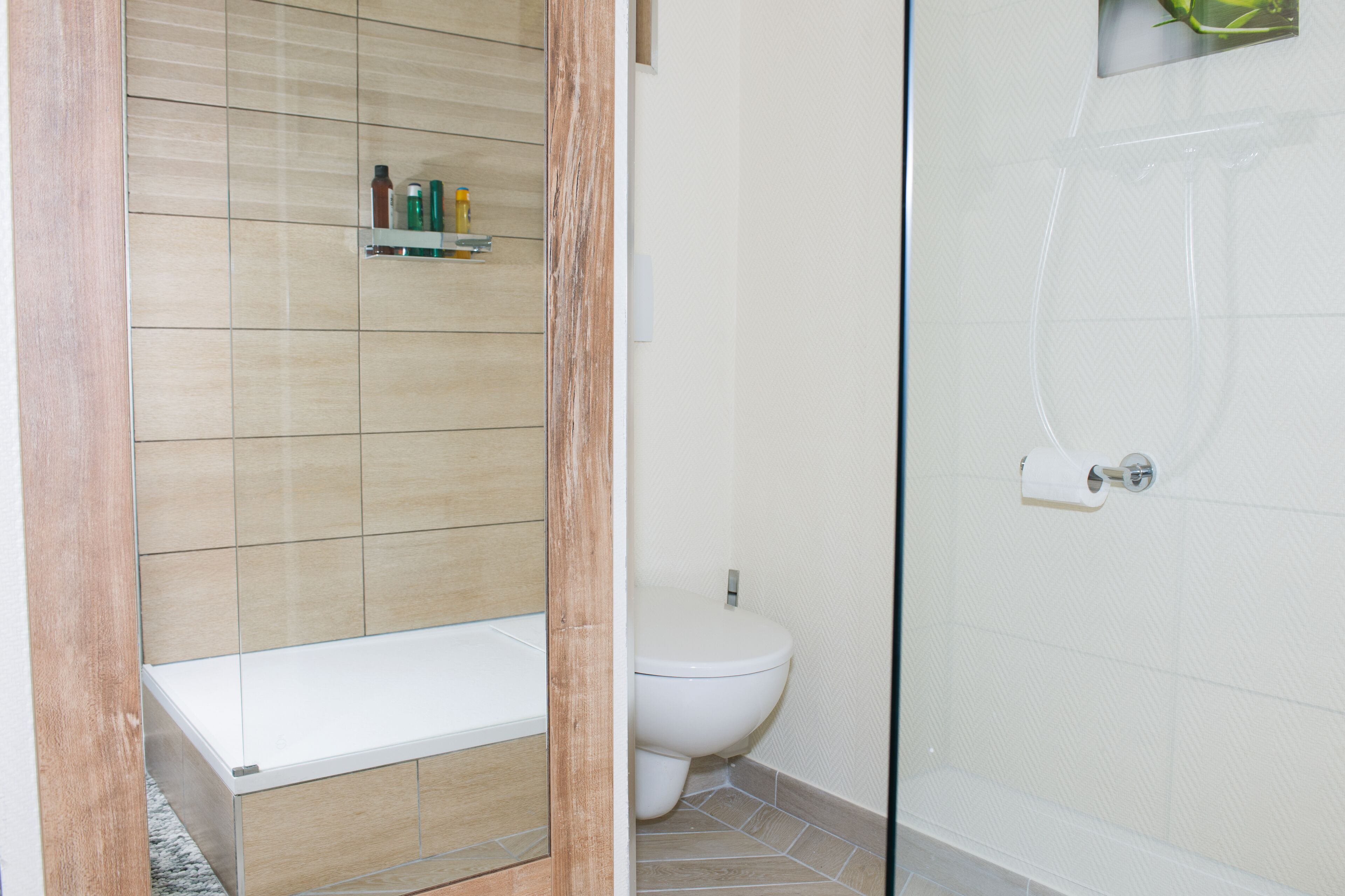 A bathroom with a shower, toilet, and a shelf with toiletries.