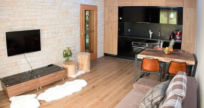 Apartment Poustevnik