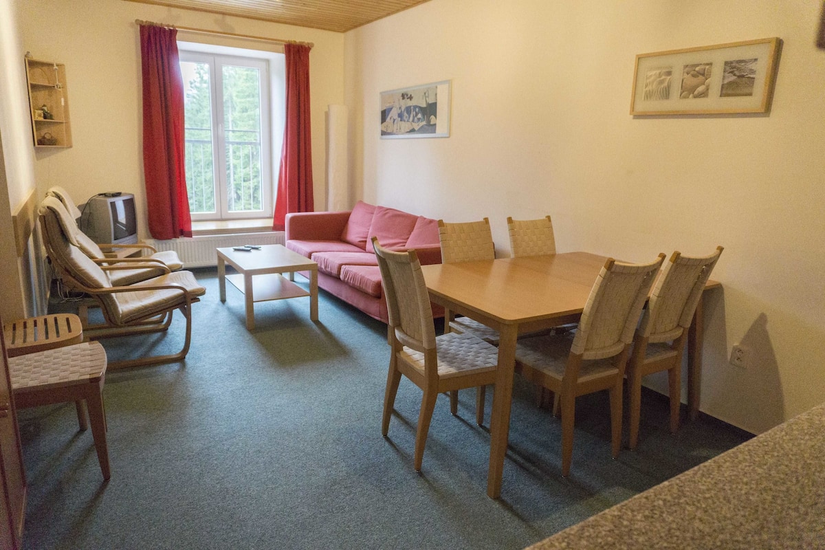 Apartamento conforto (5) | Sala de estar