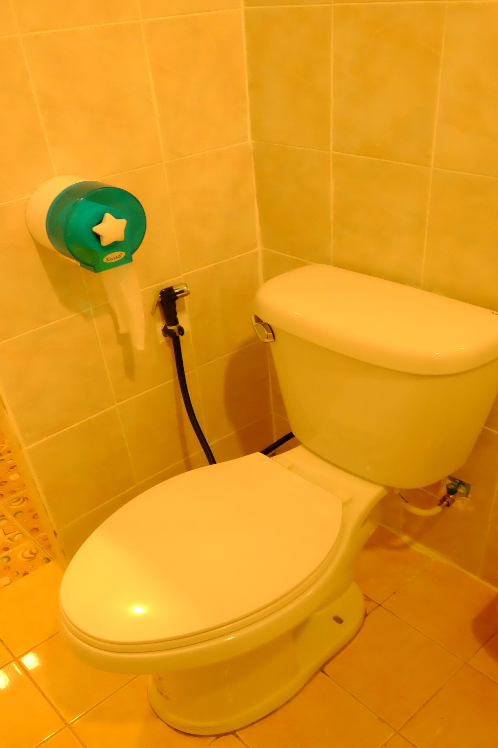 standard room | bathroom | shower, free toiletries, towels