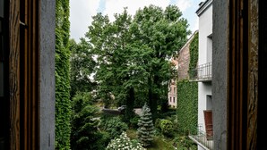 Blick durch ein Fenster auf einen Innenhof mit Bäumen und einem Gebäude.