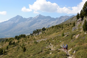 Hiking