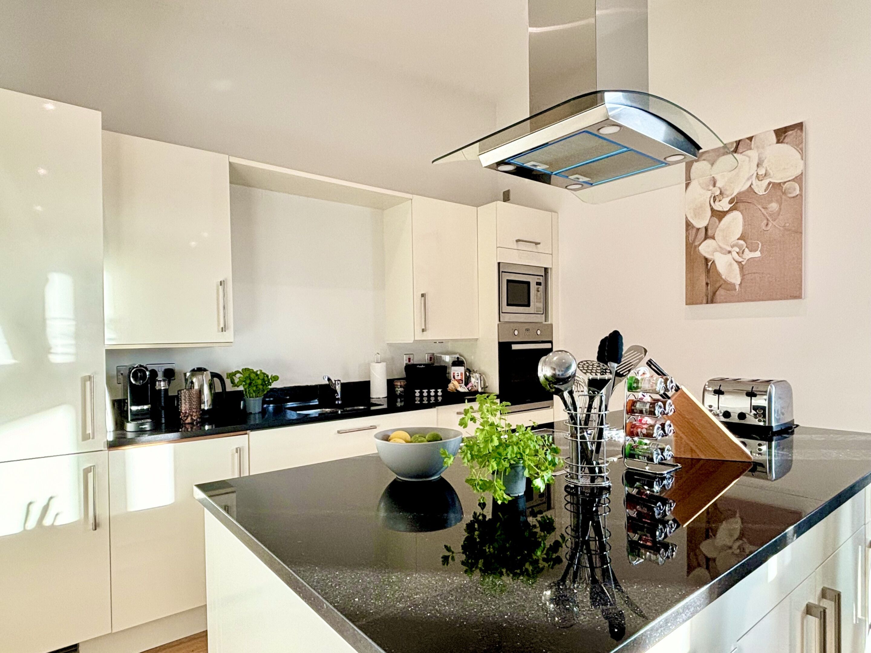 Luxury Penthouse, 2 Bedrooms, Balcony | Private kitchen | Full-size fridge, microwave, oven, stovetop