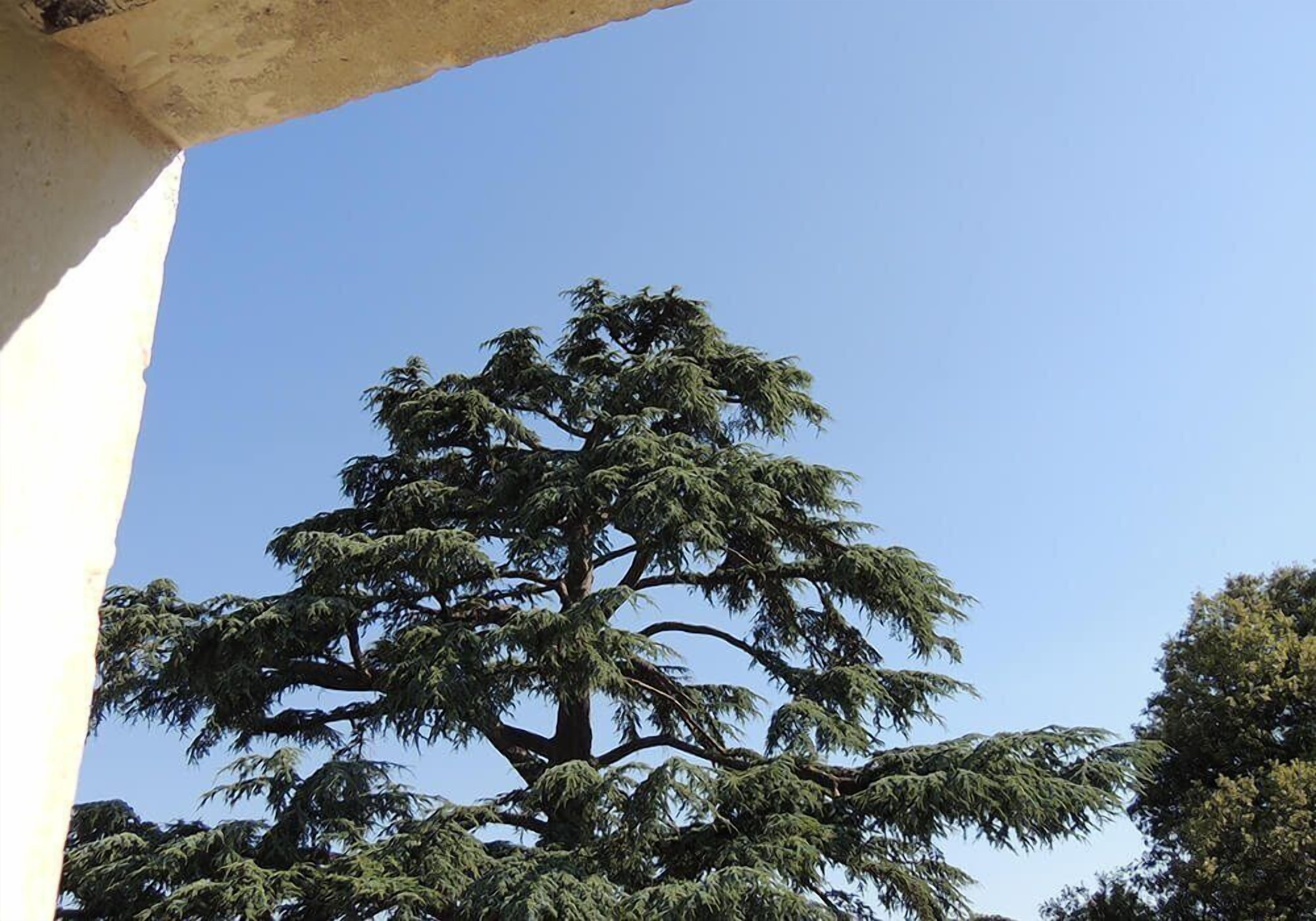 romantic double room | view from room