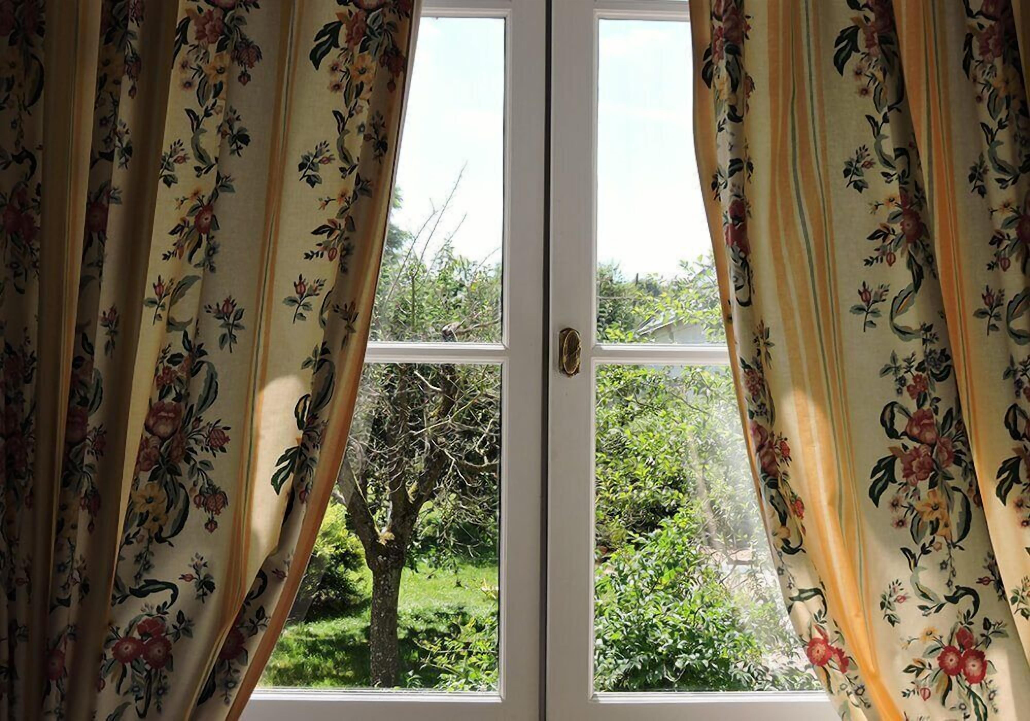 A door with floral curtains, a view of greenery outside, and a tree in the background.