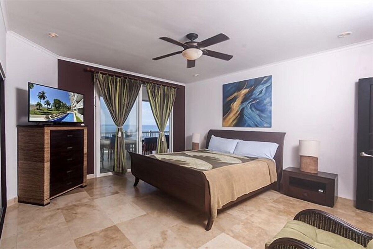 A bedroom with a bed, a TV, a ceiling fan, a painting, and a view of the ocean.