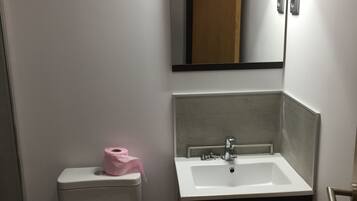 Une petite salle de bain avec des toilettes blanches, un lavabo avec un miroir au-dessus et un rouleau de papier toilette rose posé sur les toilettes.