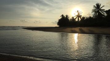 Beach nearby, sun-loungers, beach bar, surfing