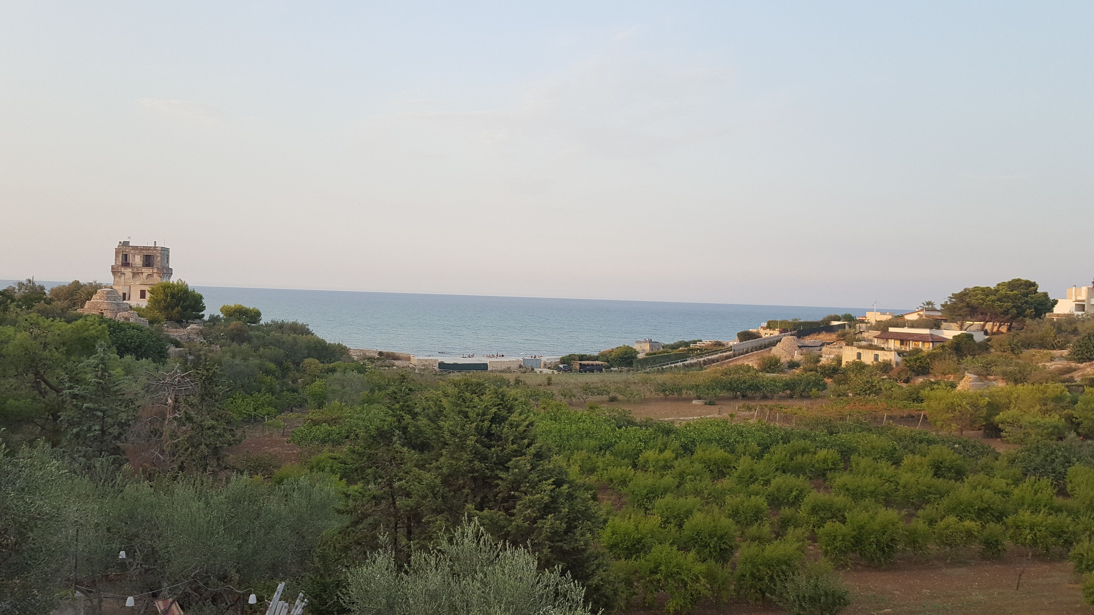 A coastal town with a prominent tower, vineyards, and a view of the sea.