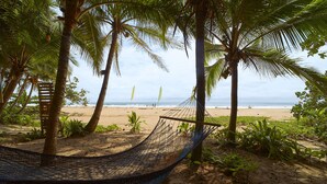 A hammock under palm trees on a sandy beach with the ocean in the background. - Playa 506 Beachfront Hostel (Cahuita)