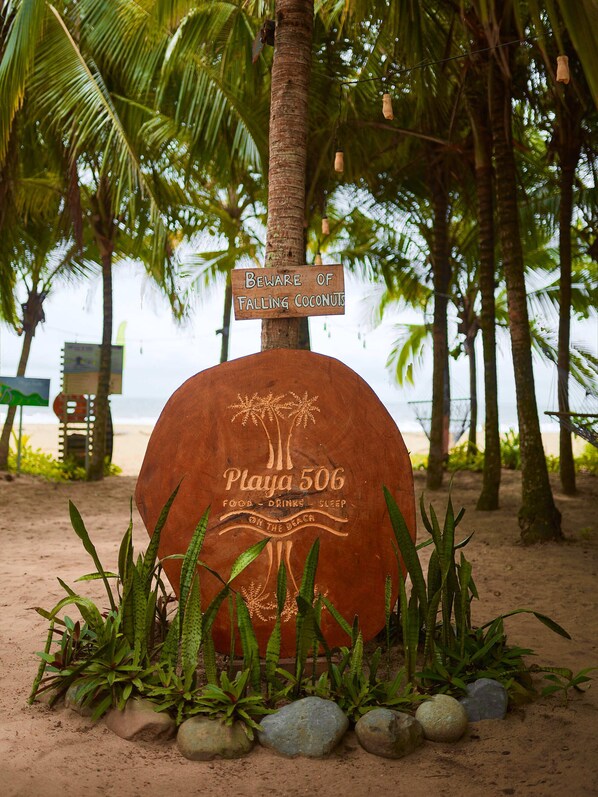 Un letrero de madera con la inscripción 'Beware of Falling Coconuts' y 'Playa 506' grabado, rodeado de palmeras y vegetación costera.