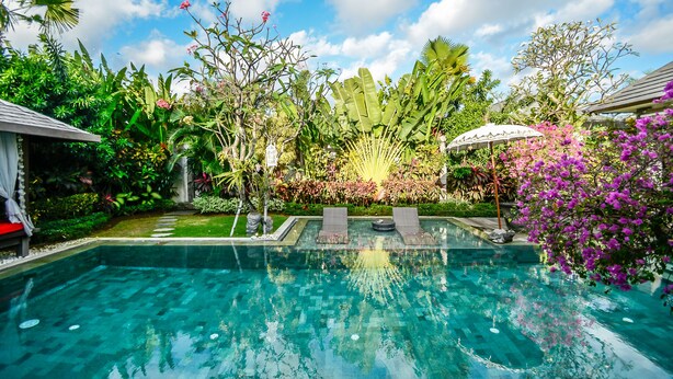 Una piscina rodeada de exuberante follaje y plantas tropicales.