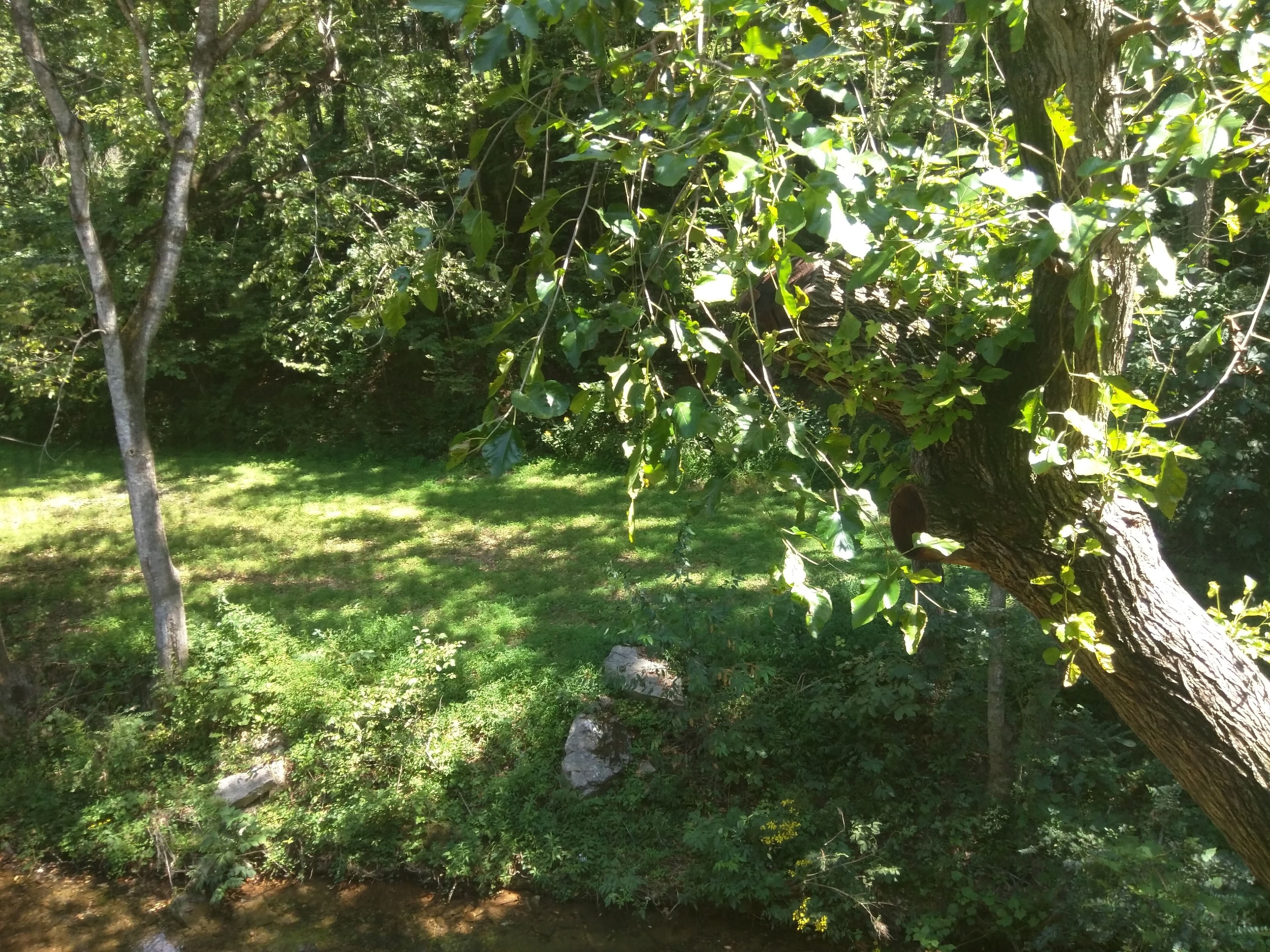 basic single room, 1 queen bed with sofa bed | view from room