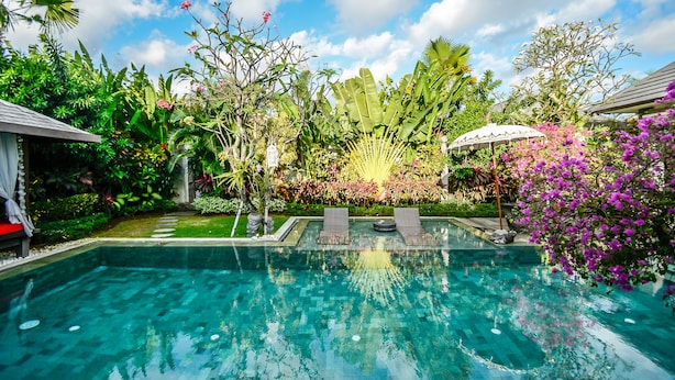 A swimming pool surrounded by lush greenery and tropical plants. - Villa Nala (Seminyak)