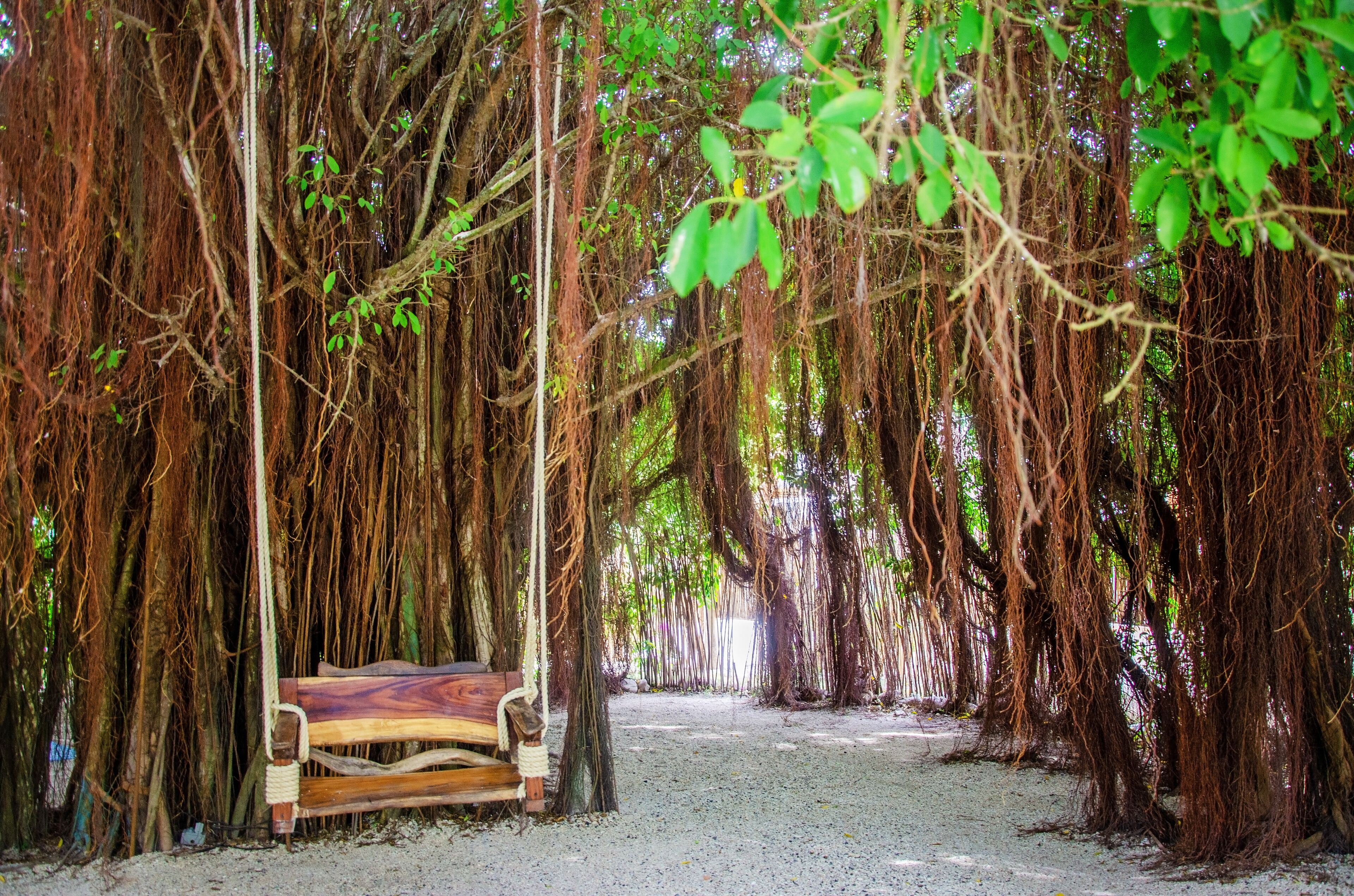 Photo - Namaste Beach Club & Hotel