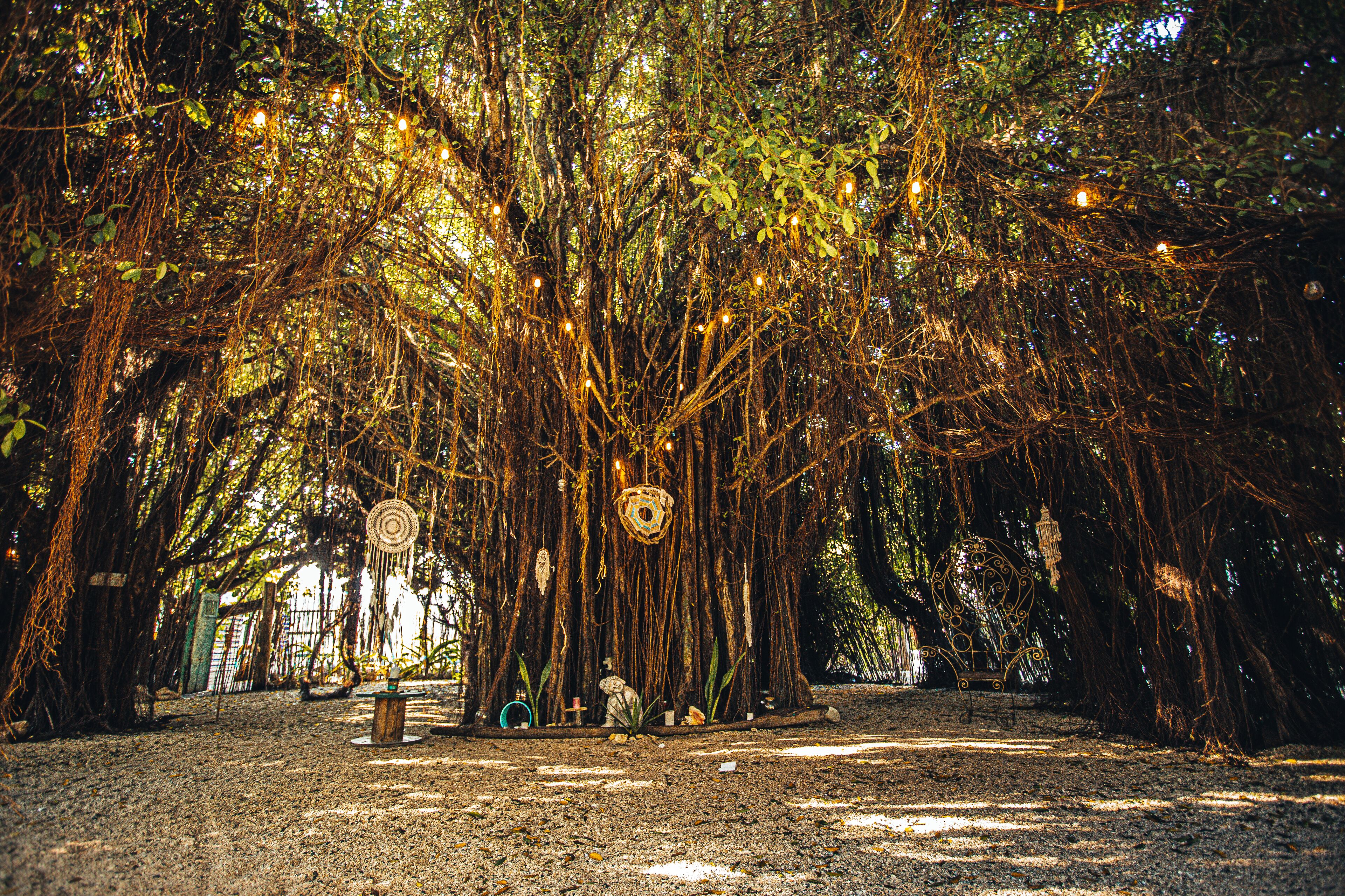 outdoor banquet area