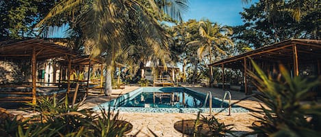 Outdoor pool, sun loungers