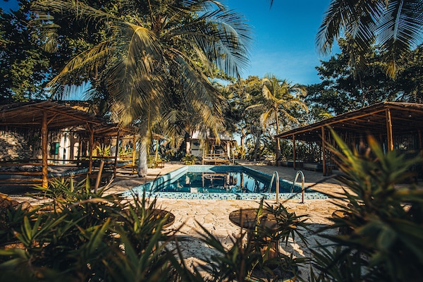 Outdoor pool, pool loungers