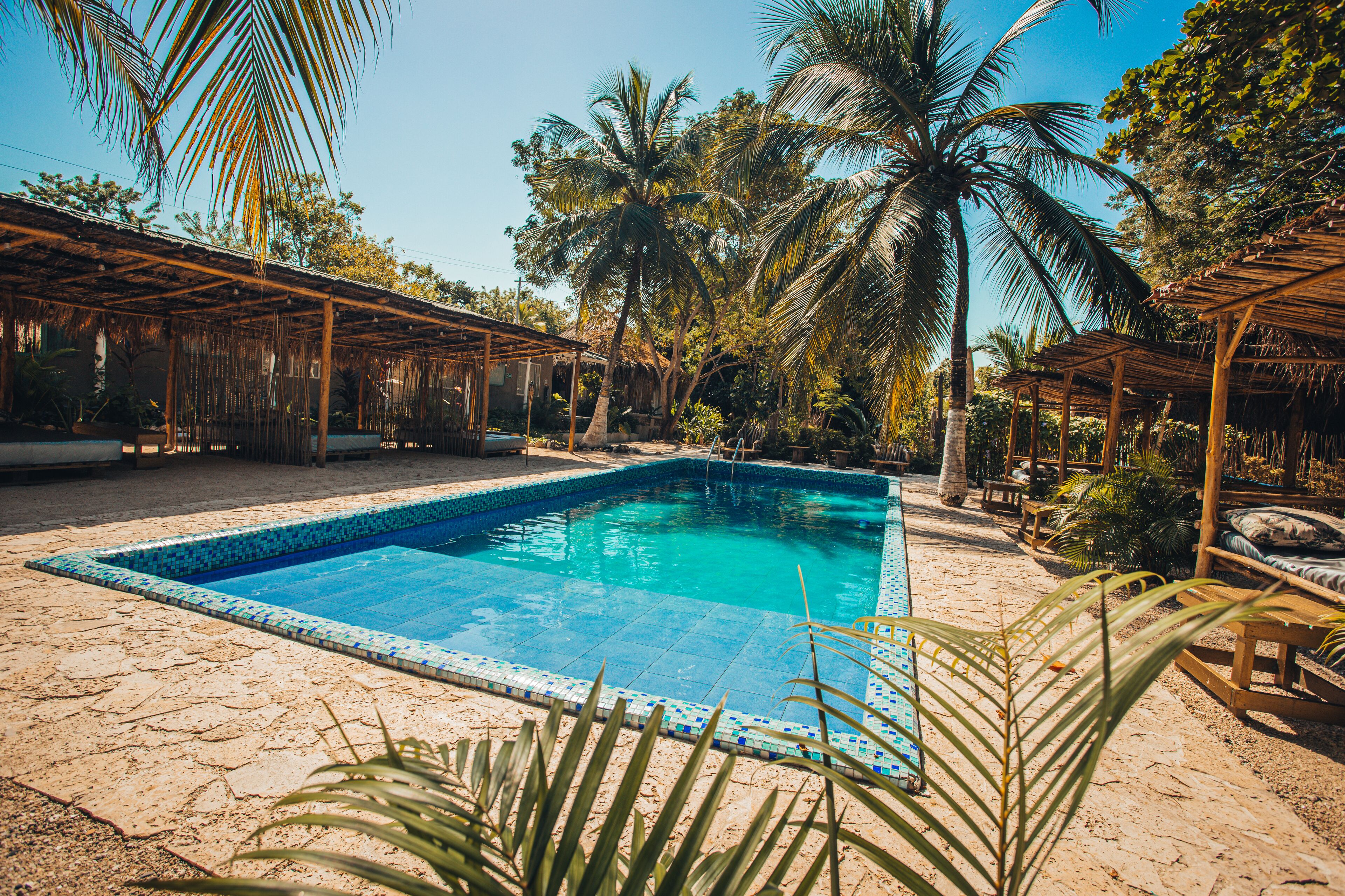 Outdoor pool, sun loungers